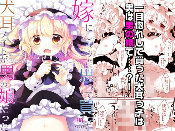 Thumbnail of post image 056